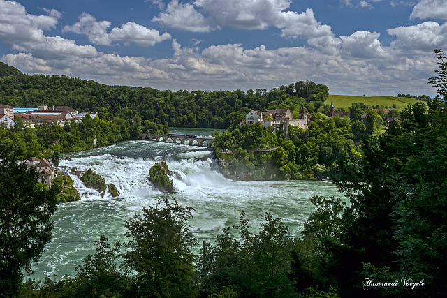 Hochwasser am Rheinfall Neuhausen Kt Schaffhausen  Schweiz