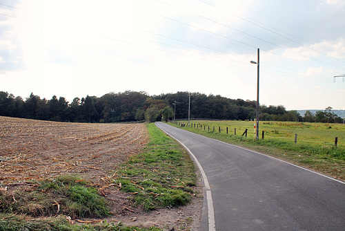 Breddemannweg (Essen-Byfang) / 25.09.2016