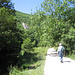 Dovedale above the Stepping Stones