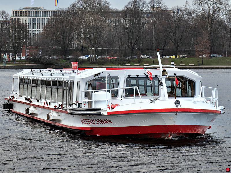 Ein schöner Schwan auf der Binnenalster -  Hamburg