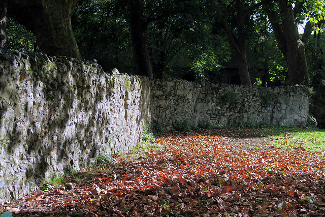 IMG 3381-001-Barking Abbey Ruins 3