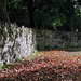 IMG 3381-001-Barking Abbey Ruins 3