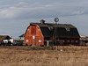 Farmyard scene on the prairie