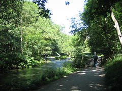 River Dove and Dovedale above the Stepping Stones