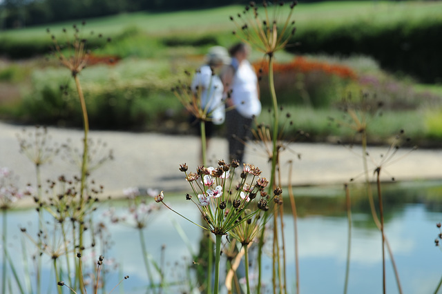 Oudolf Field Pond