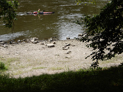 Auf der Elbe