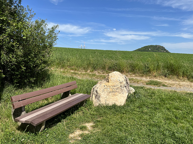 HBM aus den Weinbergen