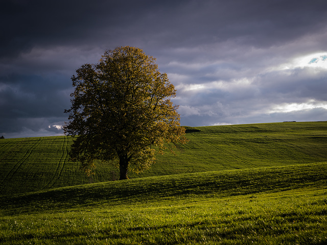 Wolken & Licht