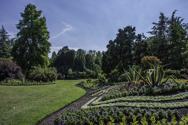 Queen Elizabeth Park (© Buelipix)