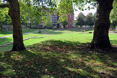 IMG 3382-001-Barking Abbey Ruins 2