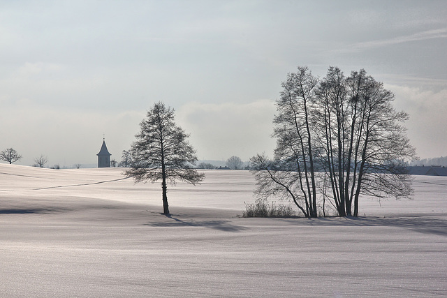 Schlier im aufziehenden Nebel in Farbe