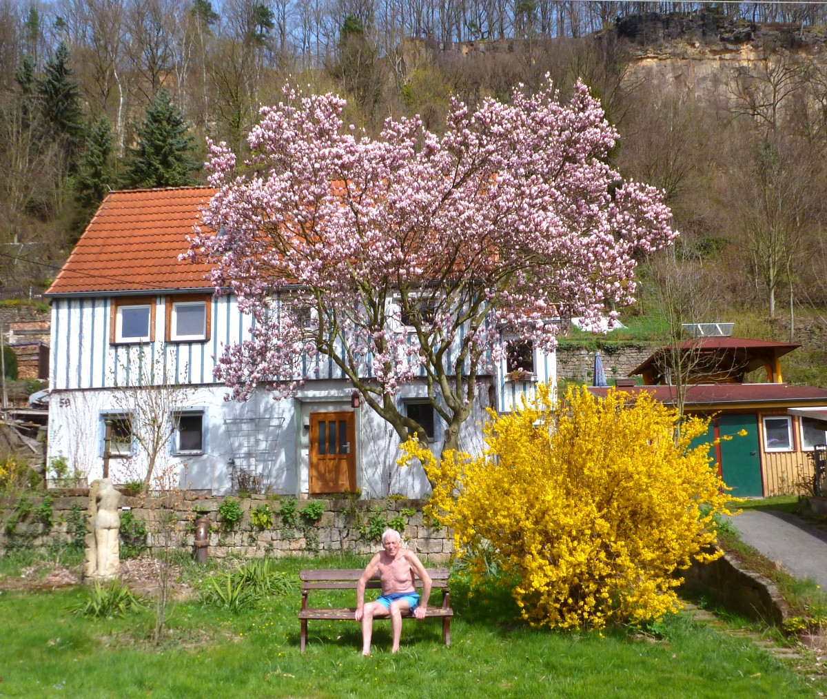 Mein Haus und mein Garten im Blütenschmuck