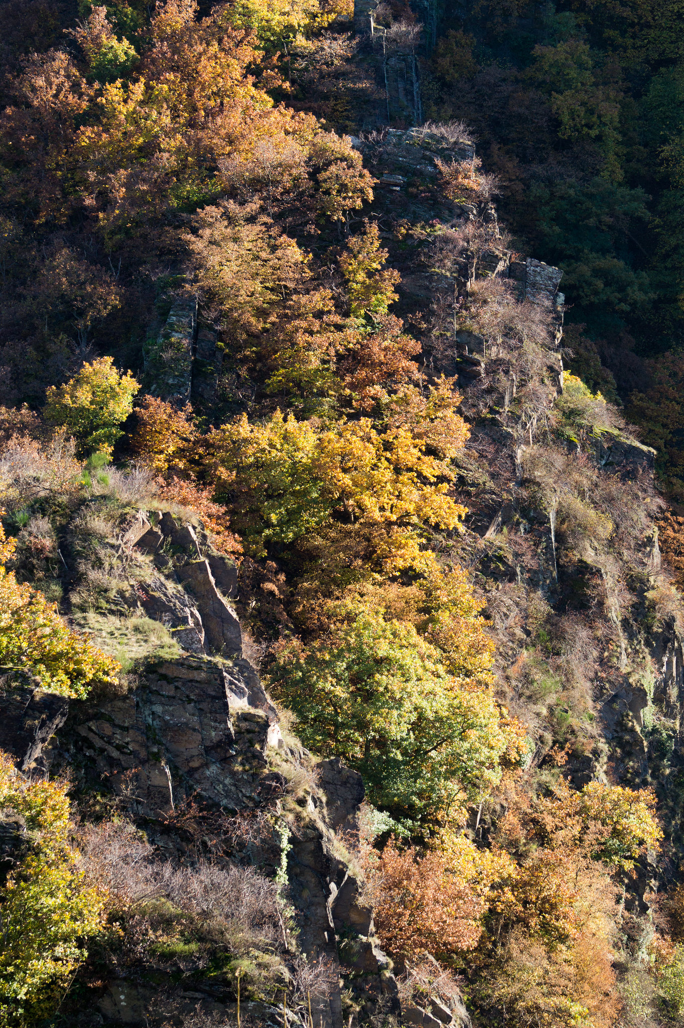 Altenahr DSC00832
