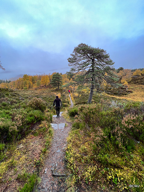 the track by The River Affric