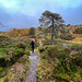 the track by The River Affric