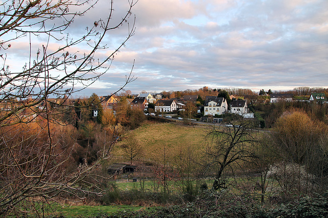 Aussicht vom Grenzberg (Hattingen-Niederbonsfeld) / 25.02.2024