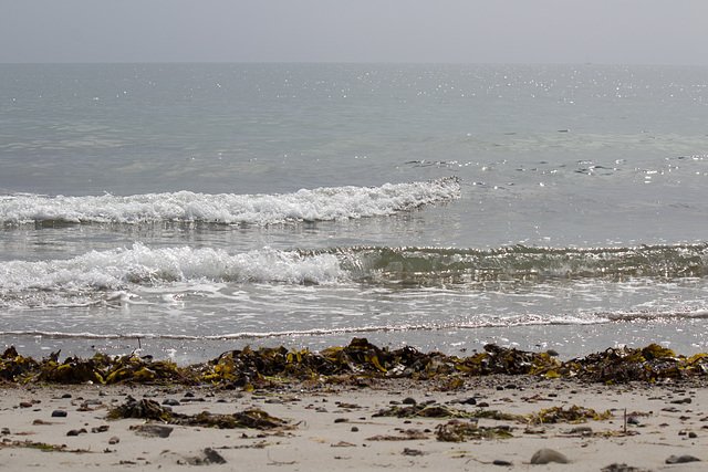 dernière vague