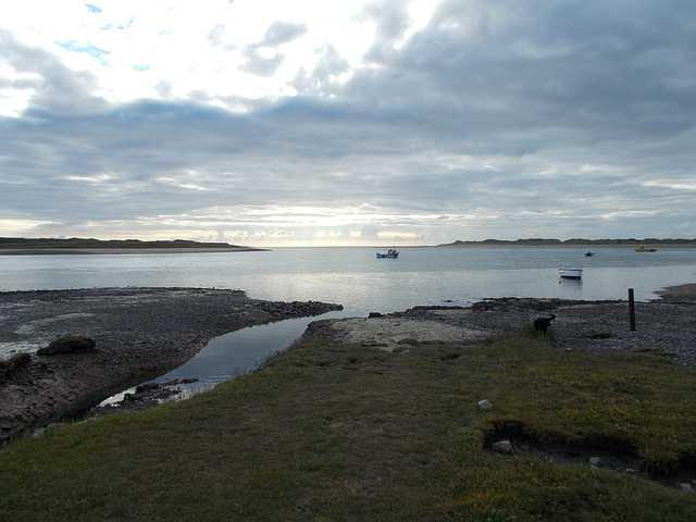 gbw - Ravenglass estuary