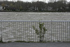 happy fence friday