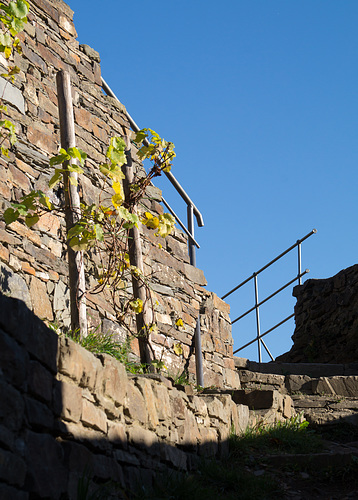 Altenahr - Burg Are DSC00827