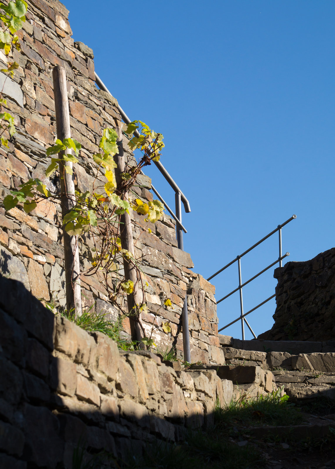 Altenahr - Burg Are DSC00827