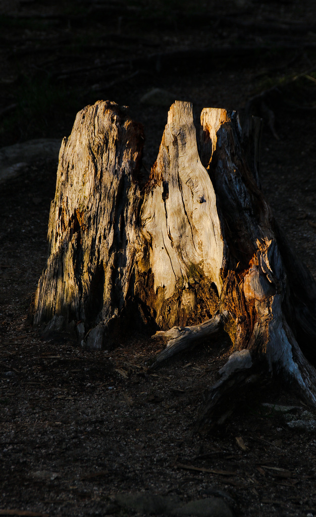 Last Light