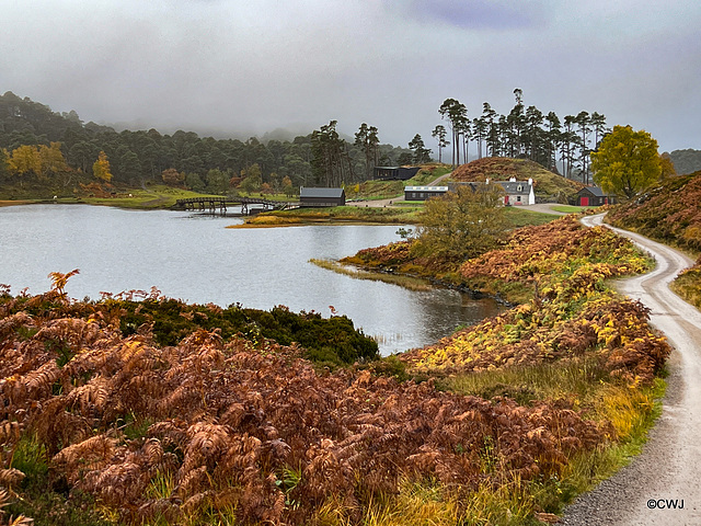 Glen Affric Lodge