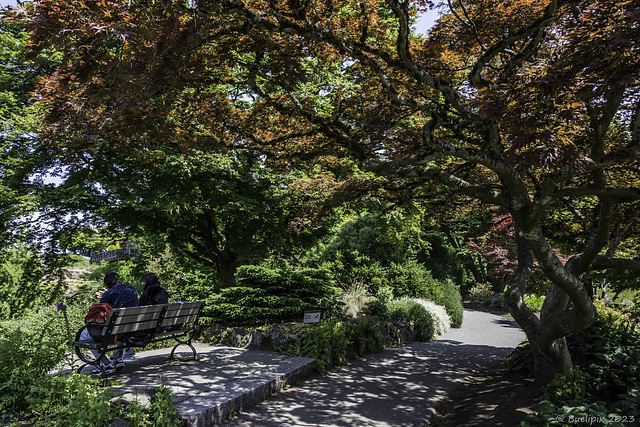 Queen Elizabeth Park (© Buelipix)