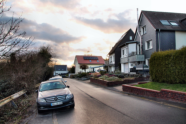 Grenzberg (Hattingen-Niederbonsfeld) / 25.02.2024