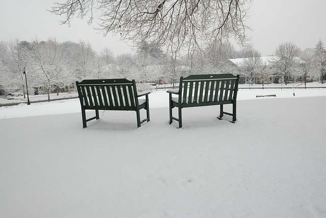 Benches Noho
