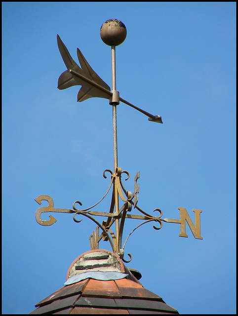 Lucy weathervane