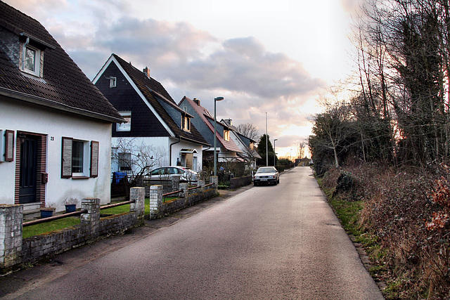 Grenzberg (Hattingen-Niederbonsfeld) / 25.02.2024