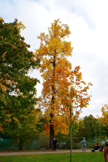 Couleurs d'automne !