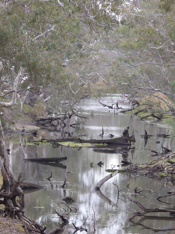 Upper Glenelg River