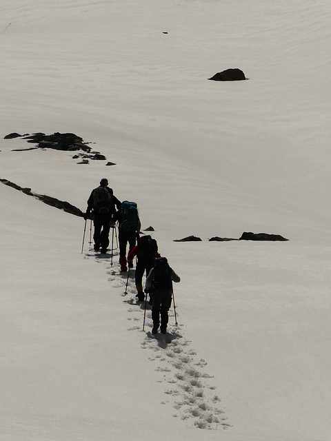 20160611 -18 Rando Meribel Les allues Jour5 (117)