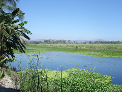 Andador laguna del tule / No-3