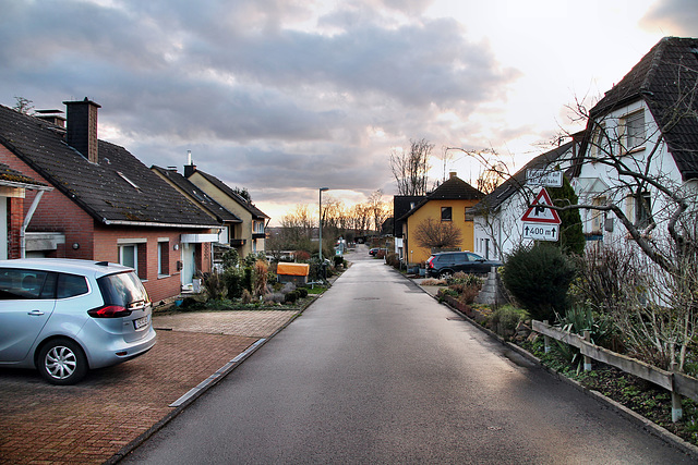 Grenzberg (Hattingen-Niederbonsfeld) / 25.02.2024