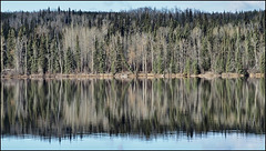 Shiny Lake.