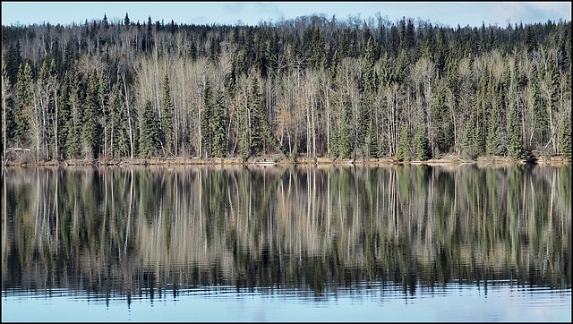 Shiny Lake.