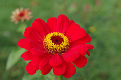 Couleurs d'automne !