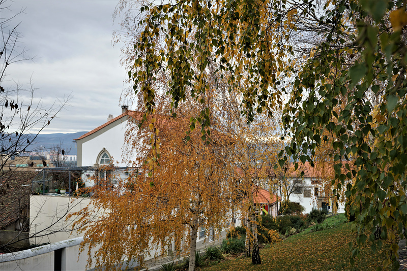 Bragança II