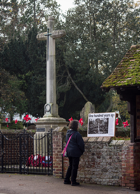 Nov 8: Remembrance Sunday (colour)