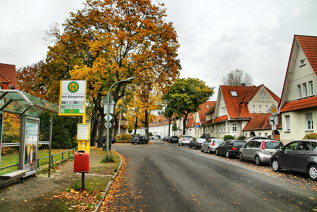 Am Kämpchen (Gartenstadt Welheim, Bottrop) / 20.10.2021