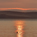 EOS R7 Peter Harriman 06 23 26 8477 morningDip dpp