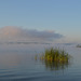 Бакотский залив, Утренний туман / The Bay of Bakota, Morning Fog