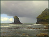 Crane Islands, North Cliffs, Cornwall