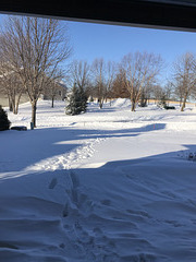 our driveway, at the moment