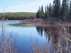 Nazko Country, BC Canada