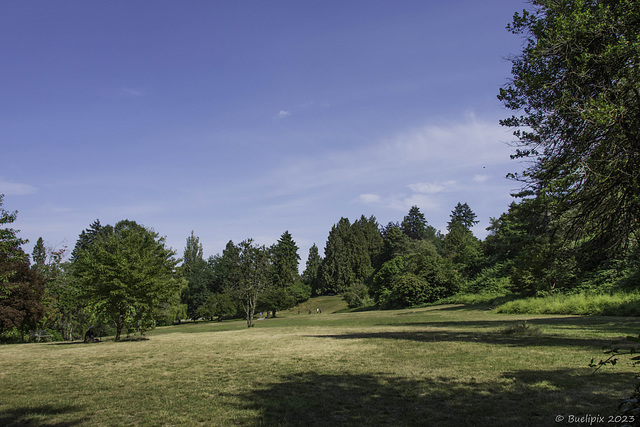 Queen Elizabeth Park (© Buelipix)