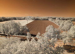 Blick vom Lönsberg auf die Landschaft - Infrarot
